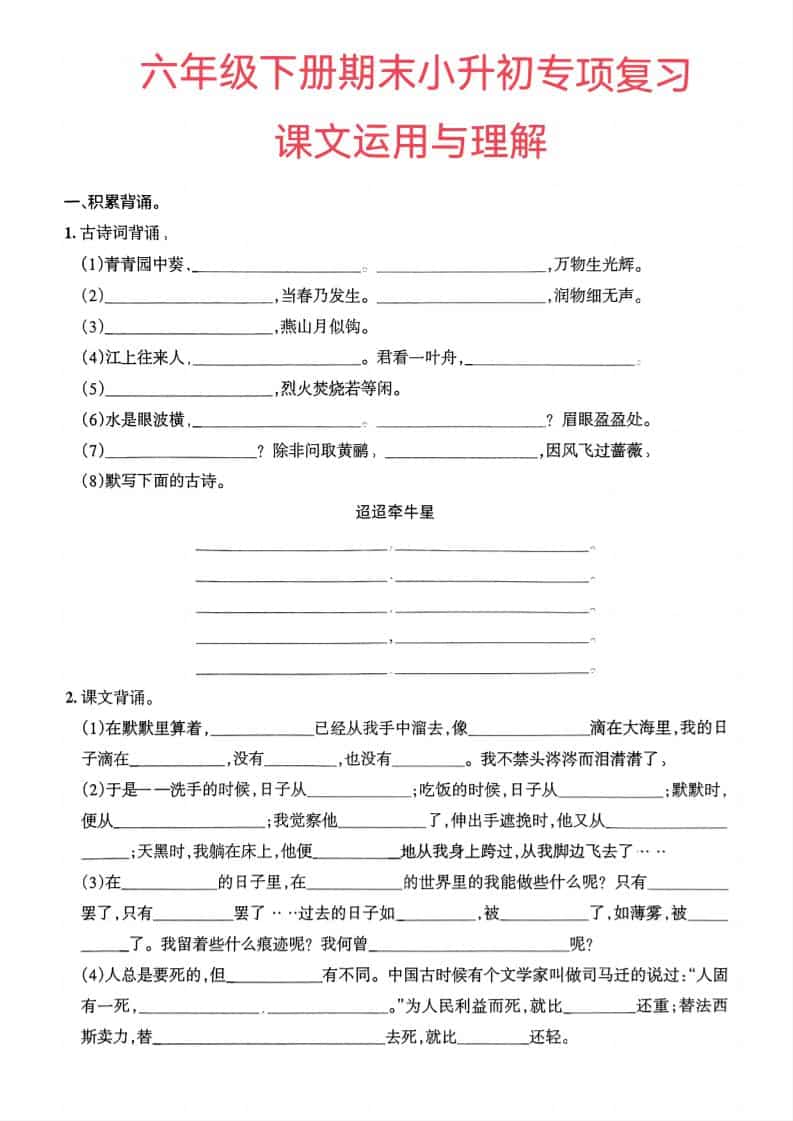六年级下册语文小升初课文运用与理解专项练习（含重点课文考点归纳）